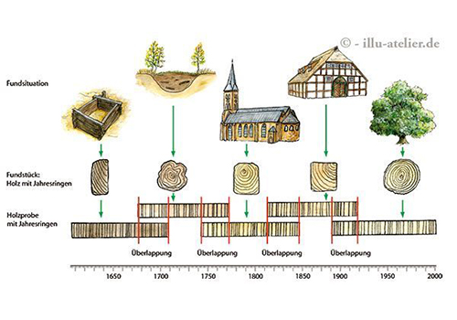 Dendrochronologie